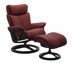 Magic Recliner Chair