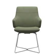 D301 Dining Chair