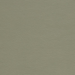 Paloma Shadow Green Leather